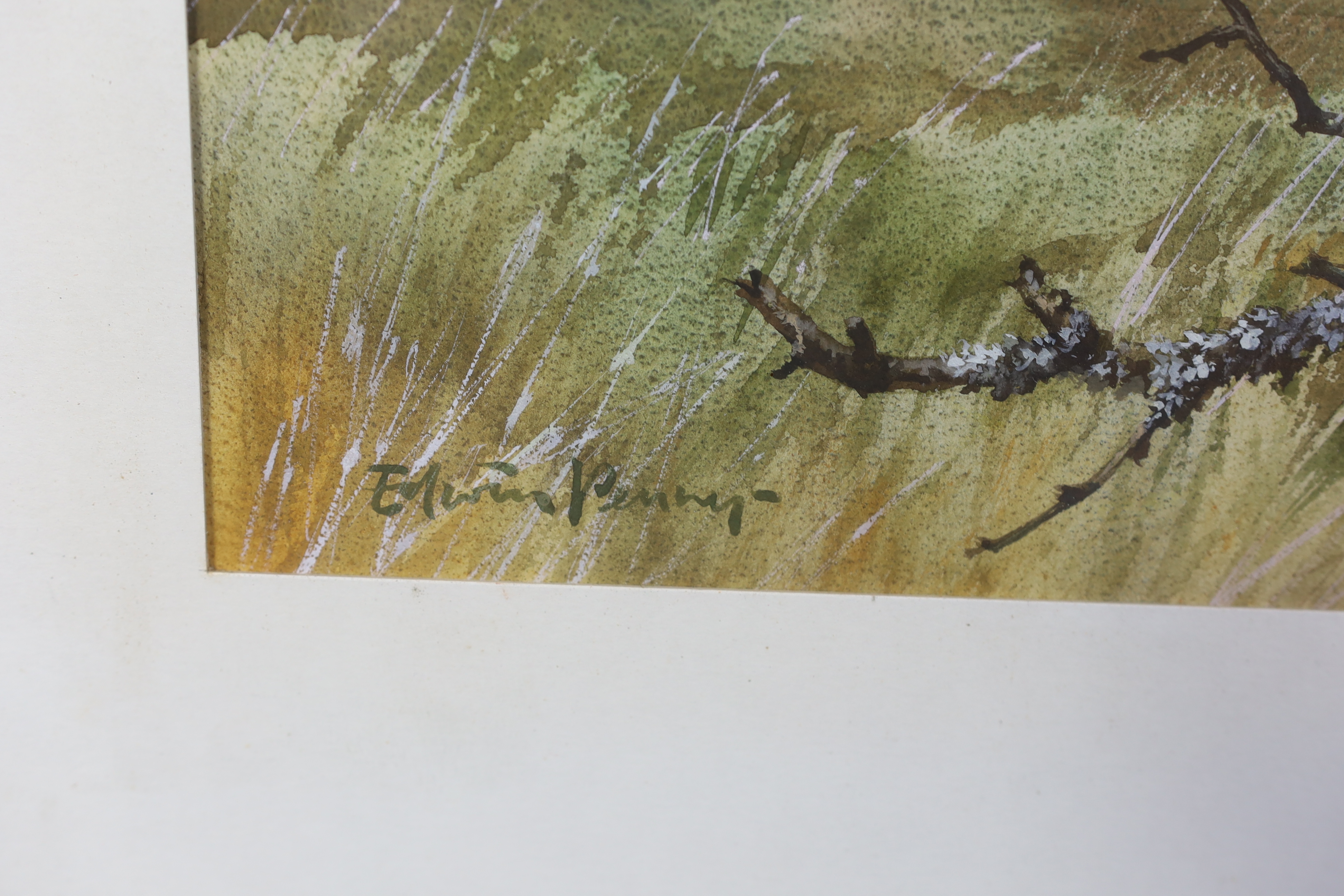 Edwin Penny (English, 1930-2016), 'Merlin', watercolour, 36.5 x 49.5cm